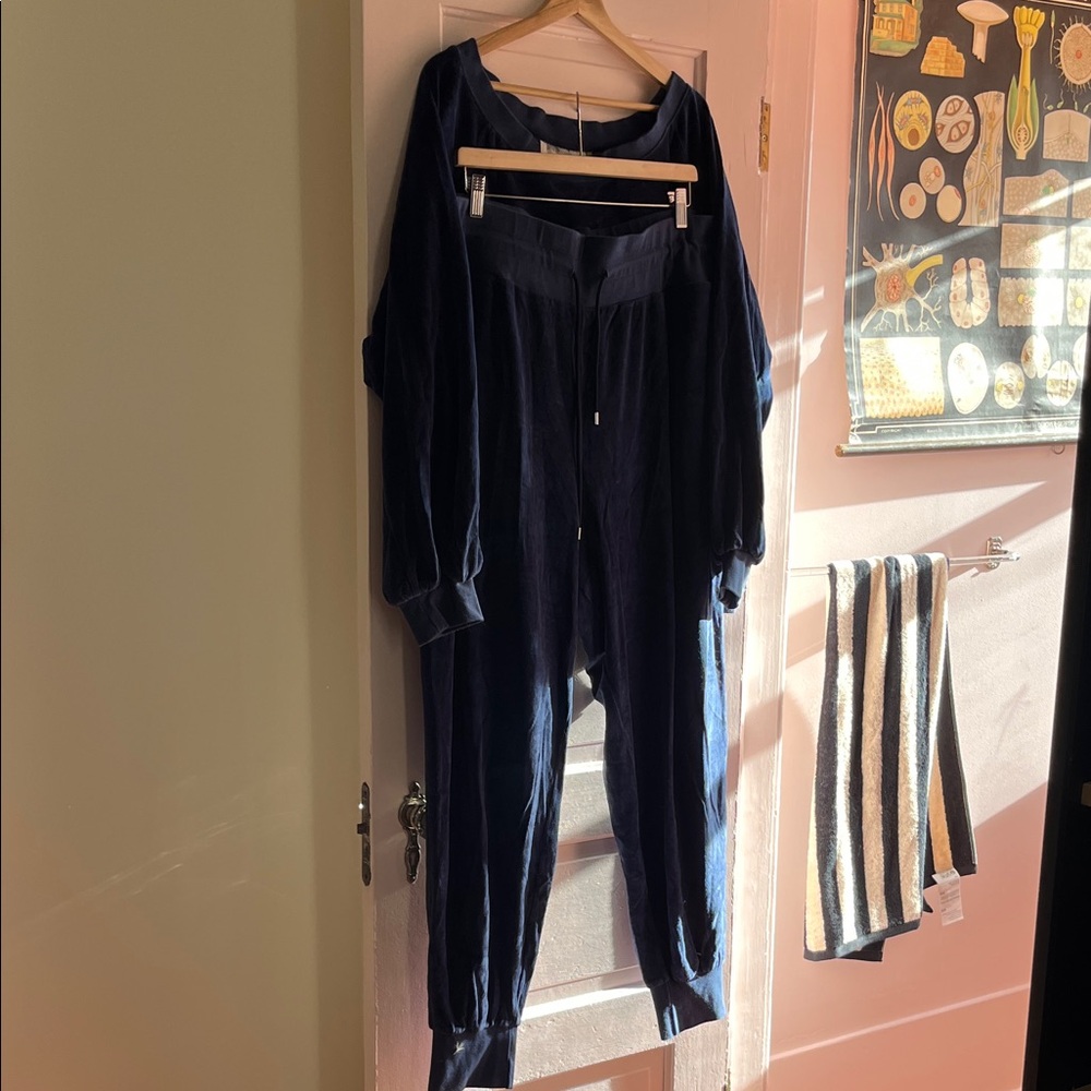 EVERYBODY & EVERYONE Velour Sweat Suit, 22/24